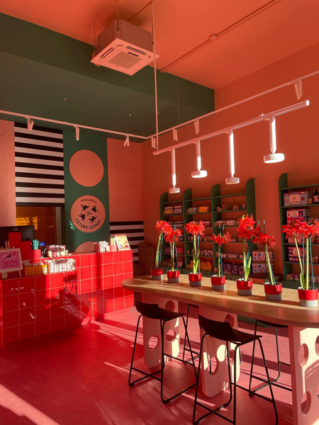 Zdjęcie na okładce dla Mydlarnia Cztery Szpaki